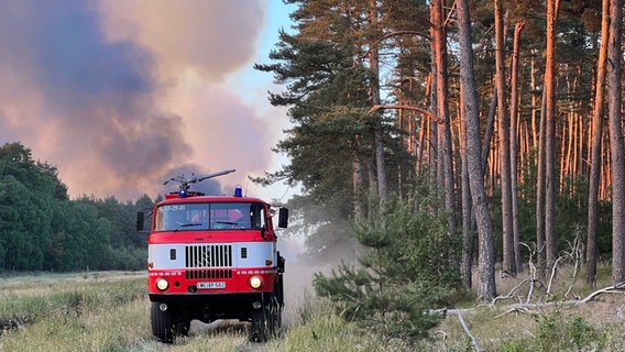 Lübtheen: Ein Löschfahrzeug während eines Waldbrandes © dpa Bildfunk Foto: Thomas Schulz