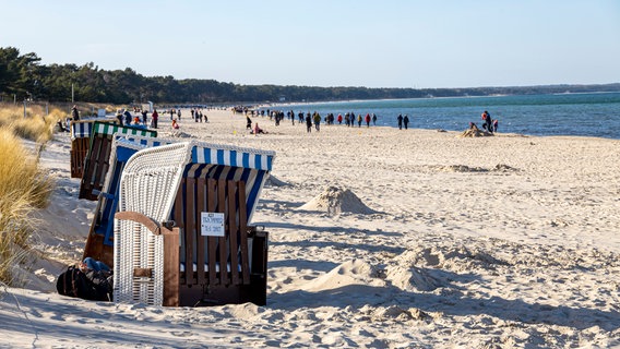 Die ersten Strandkörbe stehen schon am Binzer Strand © picture alliance Foto: Jens Koehler