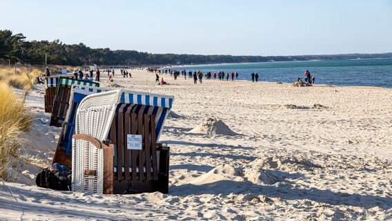 Die ersten Strandkörbe stehen schon am Binzer Strand © picture alliance Foto: Jens Koehler