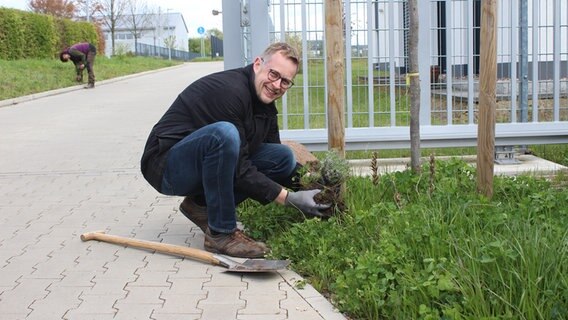 Michael Biesel pflanzt einen Lavendel um. © NDR Foto: Janine Artist