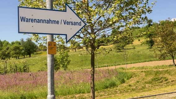 Eine Wildblumenwiese auf einem Firmengelände Eine Wildblumenwiese auf einem Firmengelände © Bundesamt für Naturschutz Foto: Sven Schulz