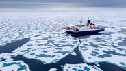 Auf dem Weg nach Norden ist das Meereis überraschend schwach, hat viele Schmelzteiche und Polarstern kann es leicht brechen. © AWI Foto: Steffen Graupner