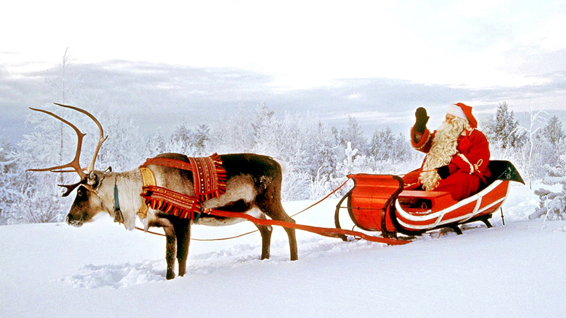 Rudolph, das Rentier mit der roten Nase - Weihnachtsgeschichte