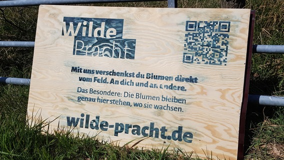 Ein Holzschild wirbt für die Blühpatenschaften von "Wilde Pracht" © NDR Foto: Lukas Knauer