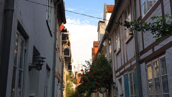 Mehrere Menschen gehen durch einen Altstadtgang in der Lübecker Altstadt. © NDR Foto: Mechthild Maesker