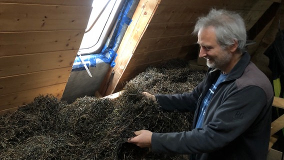 Jörn Hartje zeigt trockenes Seegras auf seinem Dachboden. © NDR Foto: Anina Pommerenke