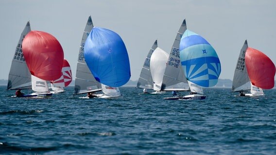 Boote der 505-Klasse segeln bei einer Regatta im Rahmen der Kieler Woche auf der Ostsee vor Kiel-Schilksee. © dpa-Bildfunk 
