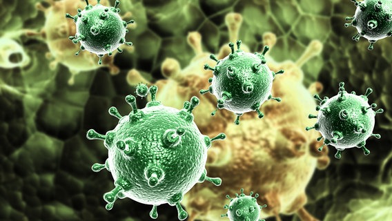 Mehrere Viruszellen in einer 3D-Darstellung © Colourbox 