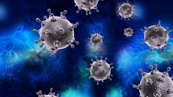 Mehrere Viruszellen in einer 3D-Darstellung © Colourbox Foto: -