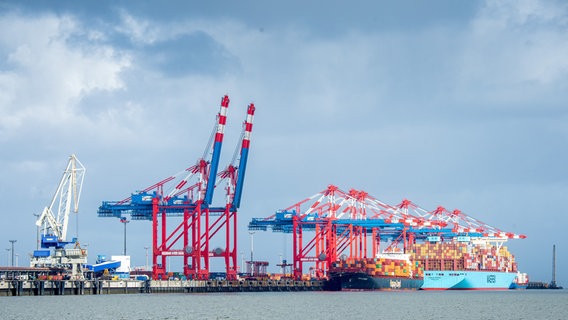 Containerschiffe liegen am Tiefwasserhafen Jade-Weser-Port. © picrture alliance 
