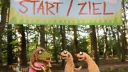 Beim großen Marathonlauf der Waldtiere verschwinden auf einmal alle Teilnehmer. Hat Krokodella etwas damit zu tun? Jan & Henry nehmen die Ermittlungen auf.  