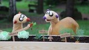 Ein neuer Fall für die Erdmännchen: der Kommissar und seine Schwester suchen die Schlüssel für die Handschellen, mit denen sie aneinandergefesselt sind.  