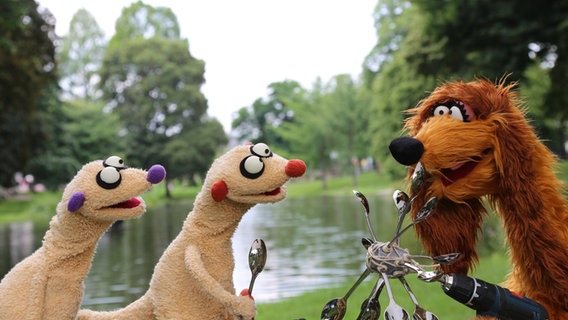 Jan & Henry verdächtigen einen Waschbär © bigSmile/NDR 