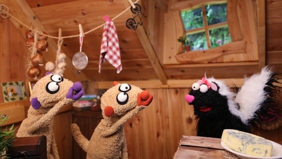 Folge 30: Jan & Henry treffen ein Stinktier © BigSmile 