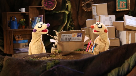 Folge 63: Jan & Henry nehmen mehrere Pakete an © bigSmile / NDR 