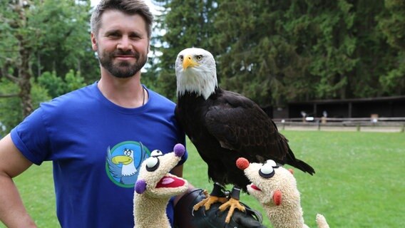 Folge 71: Die Erdmännchen treffen einen Vogeltrainer (Thore Schölermann) mit seinem Adler © bigSmile / NDR 