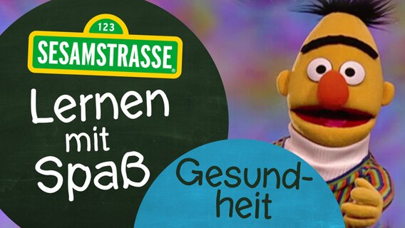 Bert mit Logo © NDR Foto: Grafik