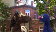 Pferd und Grobi schweigen © NDR Thorsten Jander Foto: Thorsten Jander