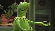 Kermit singt über seinen Ellenbogen. © NDR/Sesamstraße Foto: screenshot