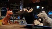 Finchen, Pferd und Wolle am Küchentisch © NDR / Uwe Ernst 