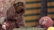 Samson und Tiffy spielen am Strand © NDR/Sesame Workshop 