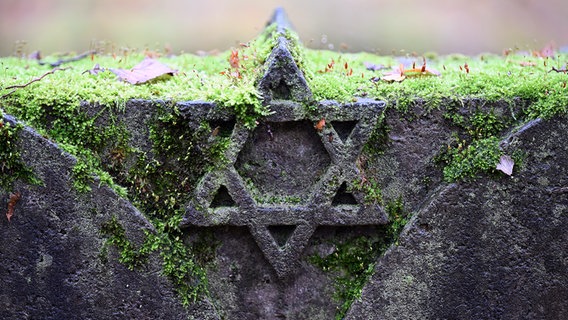 Moos wächst auf einem Grabstein auf dem Jüdischen Friedhof. © picture alliance/dpa Foto: Federico Gambarini
