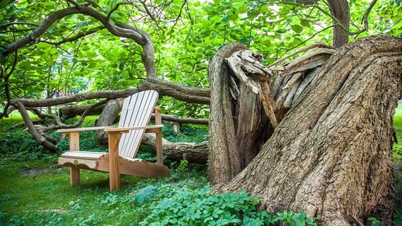 Ein Stuhl steht vor einem umgekippten Baumstamm. © Kirche im NDR Foto: Christine Raczka