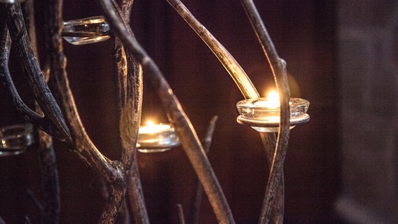 Kerzen leuchten zwischen Ästen © Kirche im NDR Foto: Christine Raczka