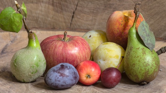 Arrangement aus Äpfeln, Birnen und Pflaumen © Pixabay/Andreas N 