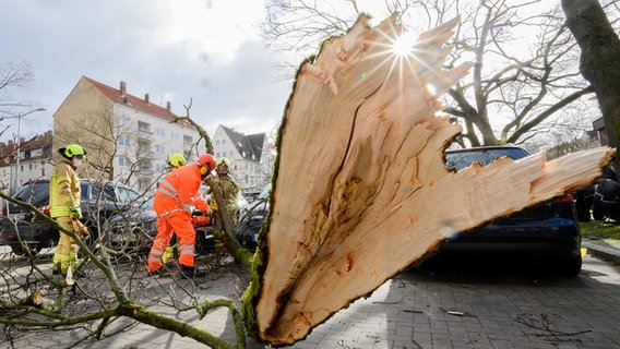 Fire brigade forces free cars from branches that crashed into a parking lot on Stephansplatz in Hanover during hurricane low Ylenia.  © Julian Stratenschulte/dpa Photo: Julian Stratenschulte