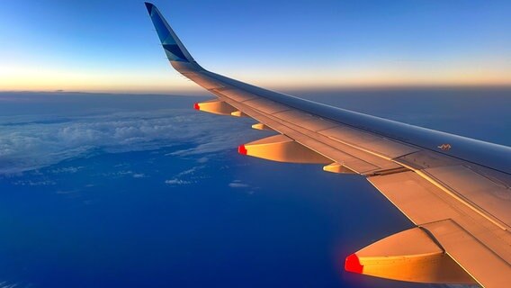 Die Tragfläche eines Flugzeugs vor einem blauen Himmel. © picture alliance / picturedesk.com Foto: Franz Neumayr