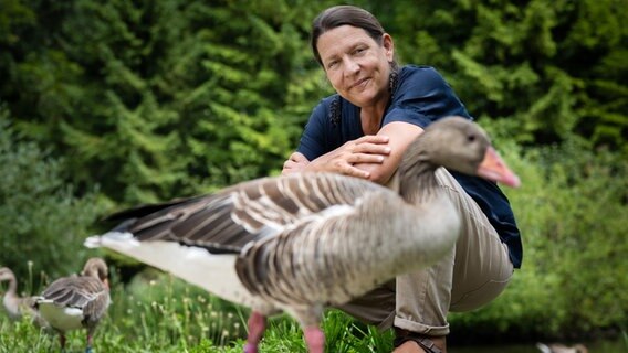 Verhaltensbiologin Sonja Kleindorfer Prof. Sonia Kleindorfer mit einer Graugans. © Gianmaria Gava Foto: Gianmaria Gava