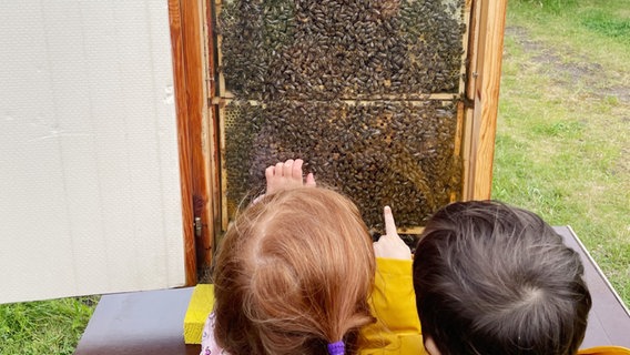 Zwei Kinder stehen vor einem Bienenstock und zeigen auf die Bienen © Kirsten Mountakis-Michalski 