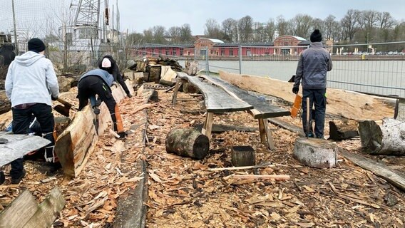 Mehrere Männer und Frauen arbeiten an einem halben Baumstamm. © NDR Foto: Frank Hajasch