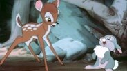 Ein braunes Reh und ein grauer Hase im Gespräch an einem Bach. Zeichentrick-Szene aus dem Film "Bambi" von 1942. © picture-alliance / dpa | dpa-Film 