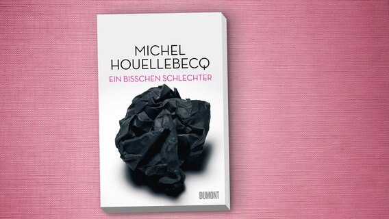 Michel Houllebecq: "Ein bisschen schlechter" © DuMont 