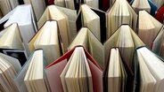 Aufgeschlagene Bücher © Fotolia.com Foto: Carlo Süßmilch