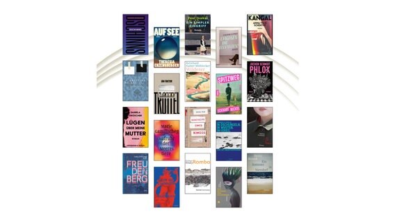 Alle 20 Titel der Romane auf der Longlist des Deutschen Buchpreises 2022 (Collage) © Börsenverein des Deutschen Buchhandels e.V.  / dpa 