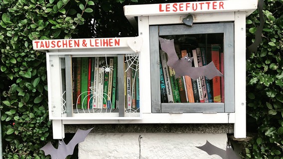 Ein Buchregal mit Lesefutter zum Leihen mit Fledermäusen © privat / Johanna 