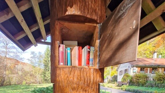 Ein Buchschrank Tübingen in einem Baumstamm © privat Foto: Heide Sauer