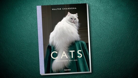 Walter Chandoha: "Cats" © Taschen 