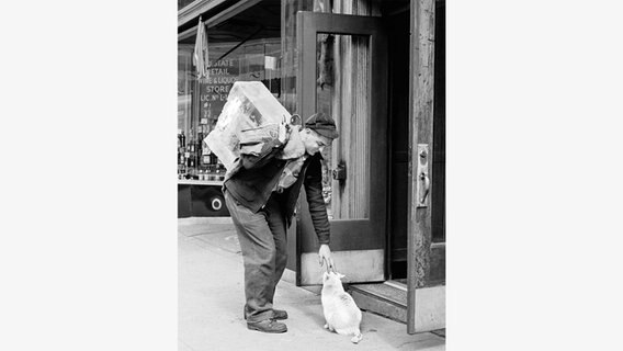 Katzen waren ein vertrauter Anblick in den Straßen von New York. © Taschen Verlag Foto: Walter Chandoha