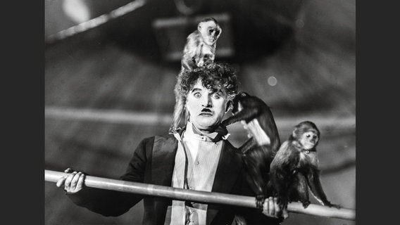 Szene aus "Der Zirkus" © Taschen Verlag 