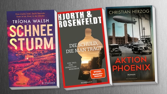 Collage der Buch-Cover: Schneesturm / Aktion Phoenix / Die Schuld, die man trägt © Fischer Verlag / Wunderlich Verlag 