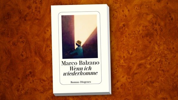 Cover des Buches "Wenn ich wiederkomme" von Marco Balzano © Diogens Verlag 