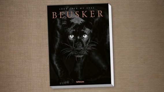 Buch-Cover: Beusker. Look into my Eyes © teNeues Verlag 