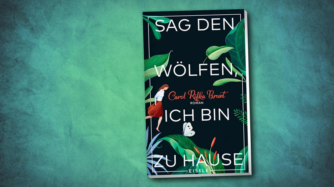 Carol Rifka Brunt "Sag den Wölfen, ich bin zu Hause