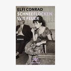 Buch-Cover: Elfi Conrad - Schneeflocken wie Feuer © mikrotext Verlag 