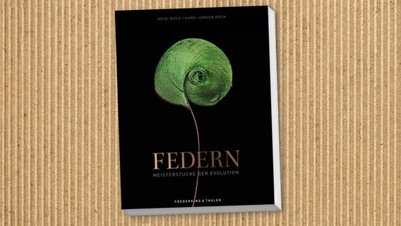 Buch-Cover: Heidi Koch / Hans-Jürgen Koch - Federn. Meisterstücke der Evolution © Frederking & Thaler Verlag 