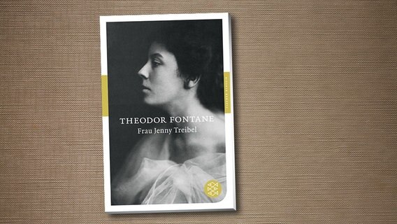 Buchcover: Theodor Fontane - Frau Jenny Treibel © S. Fischer Verlag 